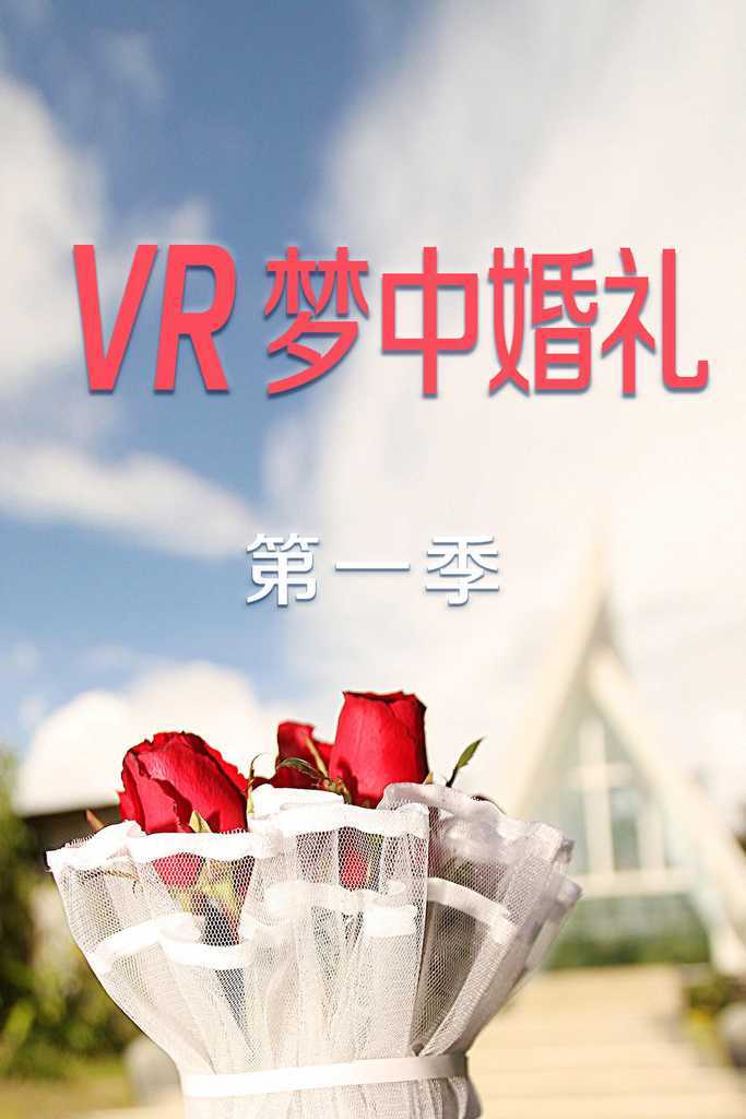 VR梦中婚礼   第一季